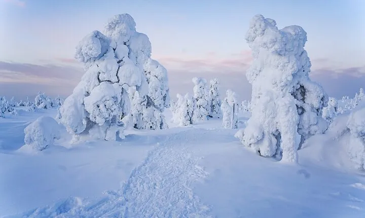 Arctic Adventure through Magical Frozen Forests of Riisitunturi