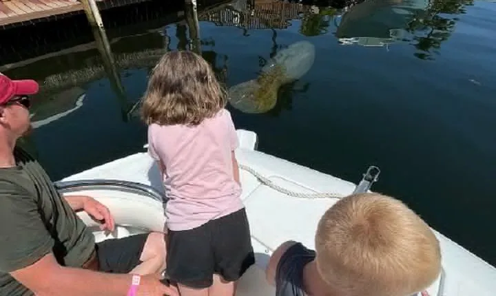 Small Group Florida Keys Eco Tour by Boat