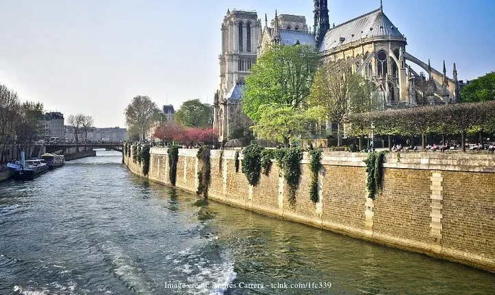 Île de la Cité Private 2h Tour with Latin Quarter & Seine River