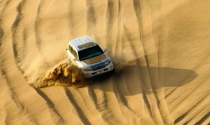 Evening Desert Safari Abu Dhabi with BBQ Dinner & Shows