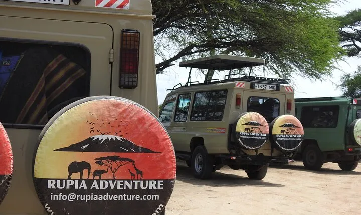 Arusha National Park Day Trip