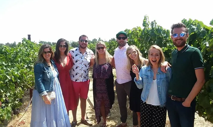 Small-Group Wine Country Tour from San Francisco with Tastings