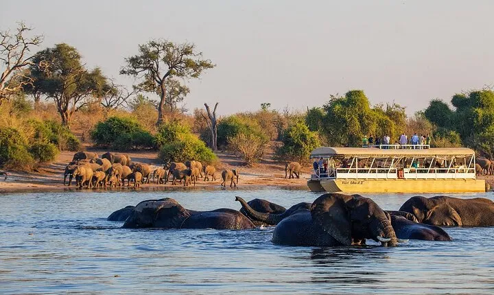 Chobe Boat Cruise & Game Drive Day Trip From Livingstone