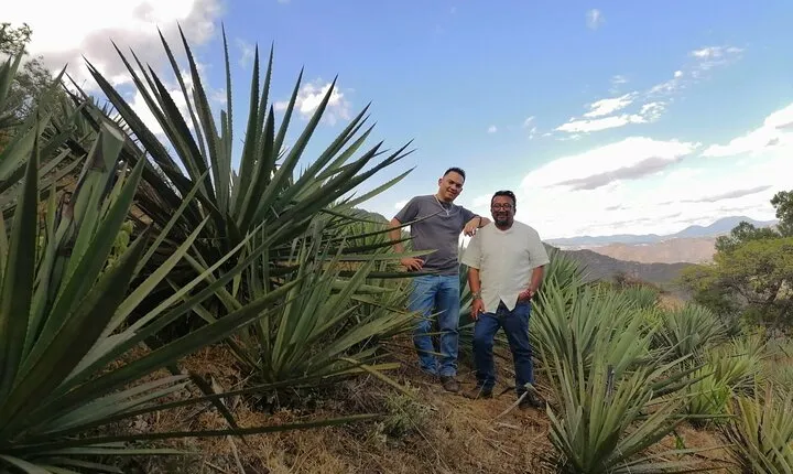 Tour de Mezcal desde Ciudad de Mexico