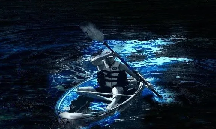 Cocoa Beach Clear Kayaking Bioluminescent Night Tour