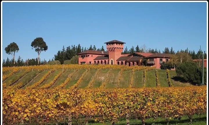 Private Tour: Winter Wine and Scenic Delights Tour from Picton
