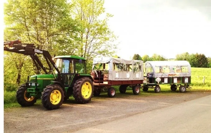 Vineyard tour in covered wagon with wine tasting near Stuttgart