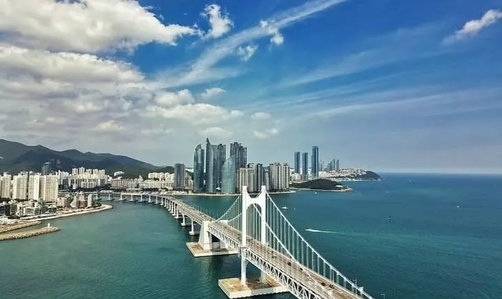 Busan Day Trip from Seoul by KTX - Private Tour with Local Guide