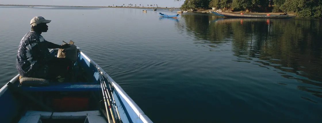 Bush and Saloum Delta guided tour from Saly or Somone