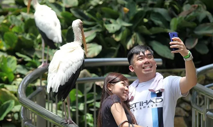 Go Nature - Orchid Garden, Bird Park & Butterfly Park Tour