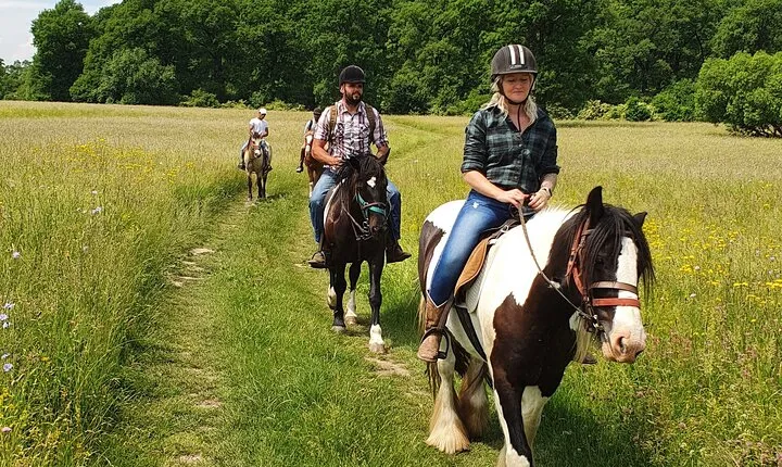 Horseback riding adventure tour through Brasov landscape