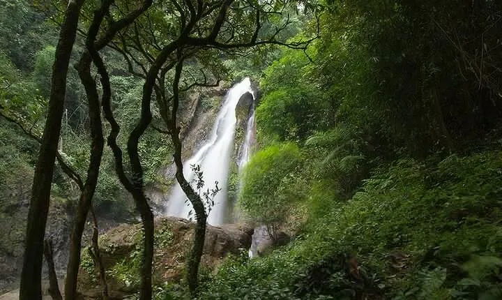Khaolak Nature & Culture Tour with Lunch