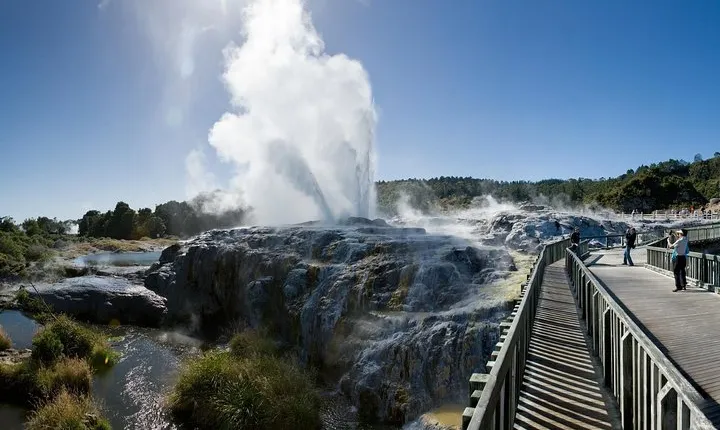 Private Tour to Rotorua (Max 11 Passengers)