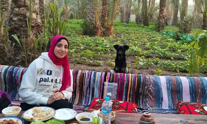 Saqqara, Dahshur, Memphis - 10%to stray dogs and cats