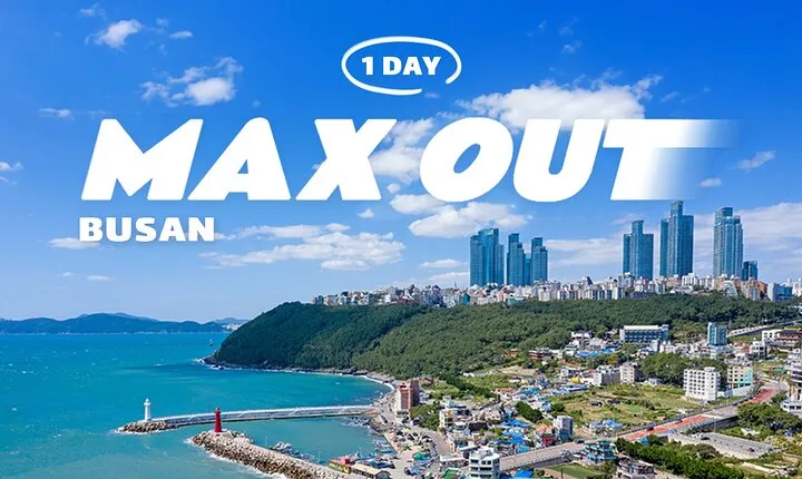 Max Out Busan: Highlight Top Attractions One Day Tour