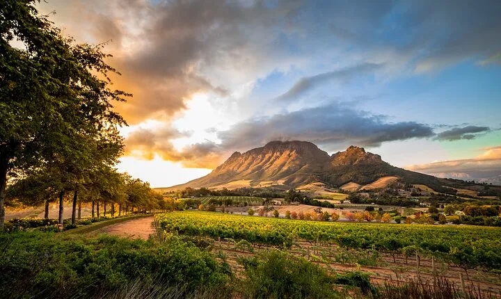  Cape Winelands From Cape Town Private Day Tour