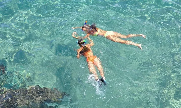Marathon Key: 3-hour Snorkeling adventure on a Pontoon at Sombrero Reef