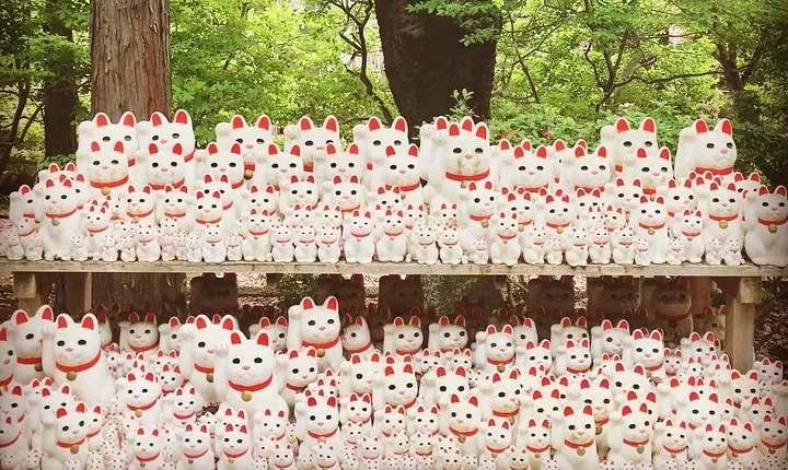 Setagaya Cat Tour!
