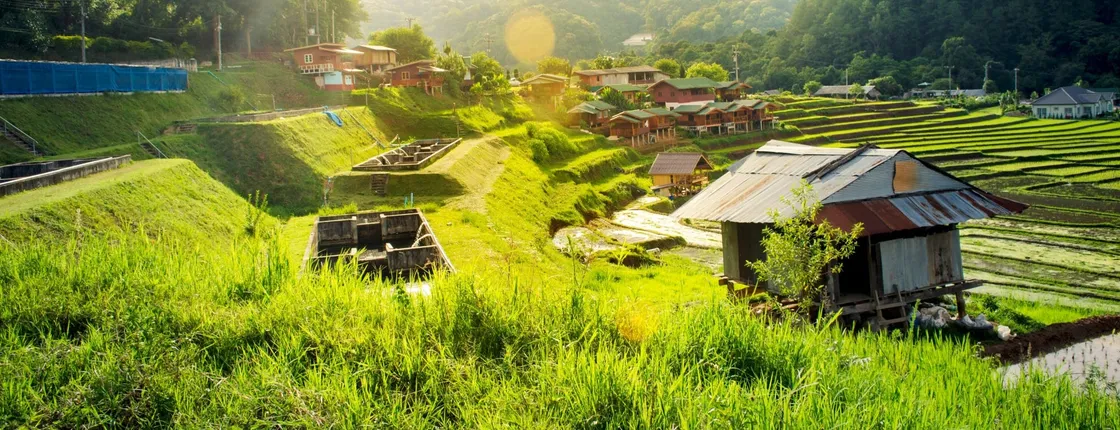 Doi Inthanon National Park Small Group Tour