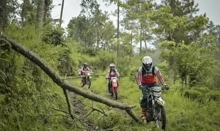 Bali 4 Day Wilderness Tour