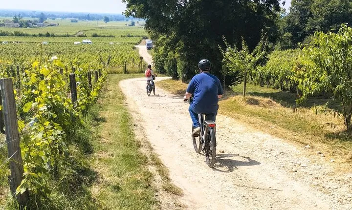 E-bike trip : From Bordeaux to Saint-Emilion with picnic lunch
