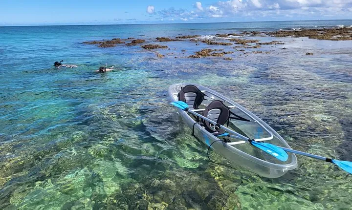 Clear Bottom Kayak - Guaranteed to see Turtles!