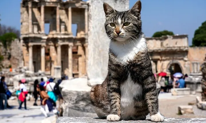 Private Ephesus Tour from Kusadasi