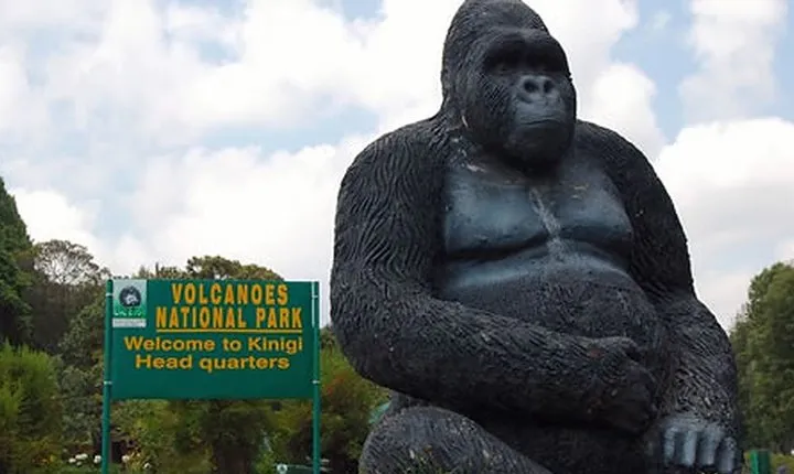 Hiking to Dian Fossey’s Tomb in the Volcanoes National Park
