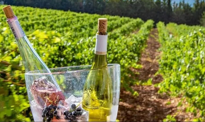 Bekaa Valley Wine Tour: Savour Lebanon's Finest