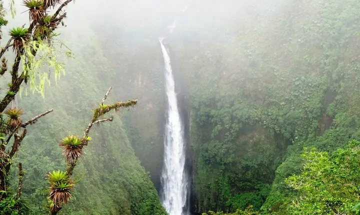 Arenal Volcano Experience Full-Day Tour from San Jose