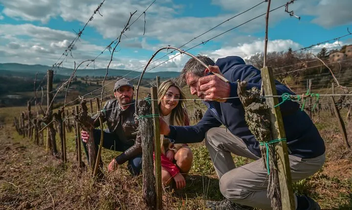 Exclusive Wine Tour and Tasting Experience in Siena