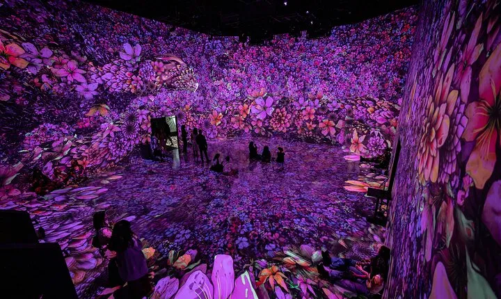 ARTECHOUSE DC Immersive Art Experience with Reserved Entry Time