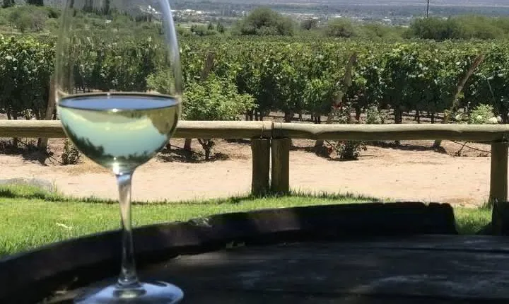 South Wine Routes, San Juan - Half day tour