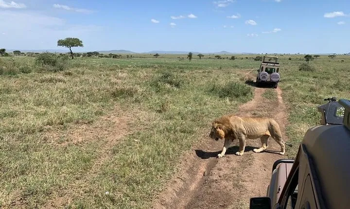 04 Days Tarangire, Serengeti and Ngorongoro crater group (Camping