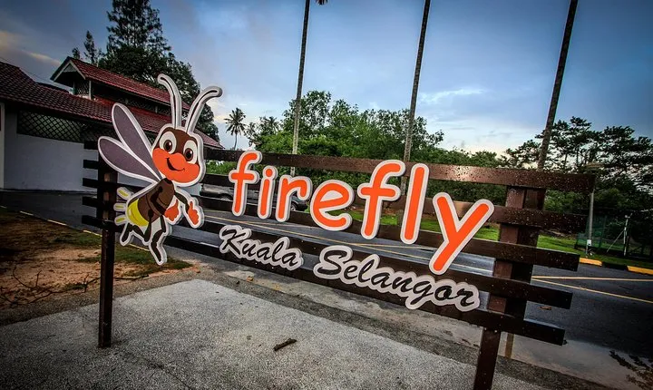 Fireflies Tour - Sic