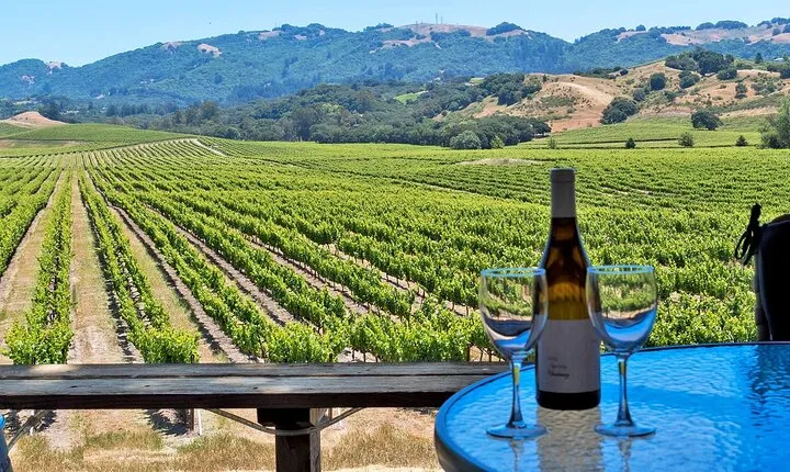 Sonoma Valley All-Inclusive Wine Tour