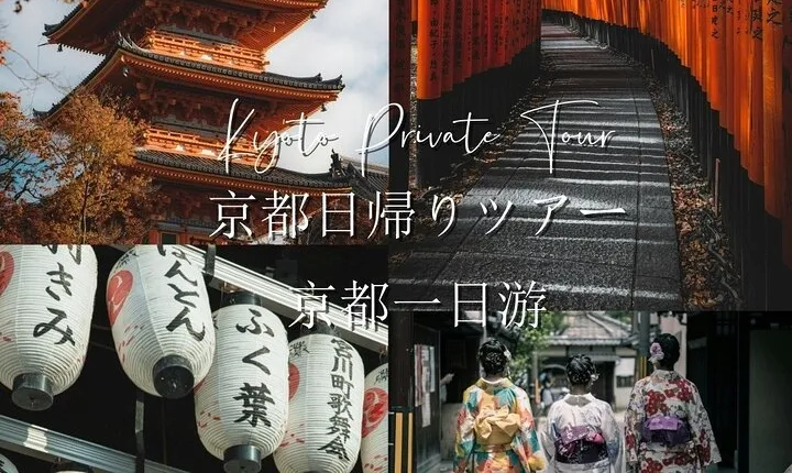 Kyoto Private Customizable Sightseeing Tour(from Osaka)