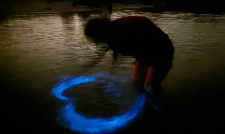 Orlando Bioluminescence Kayak Adventure