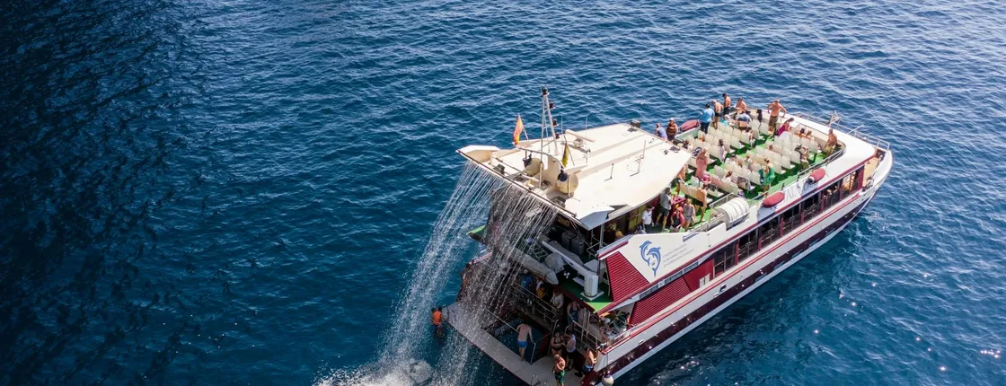Two-hour Royal Delfín whale-watching cruise in Tenerife