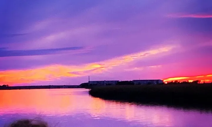Private Charleston Sunset & Dolphin Cruise