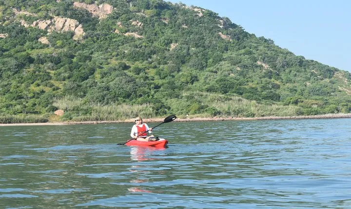 birds island