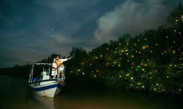 Fireflies and Bioluminescent Night Tour with Seafood Delight