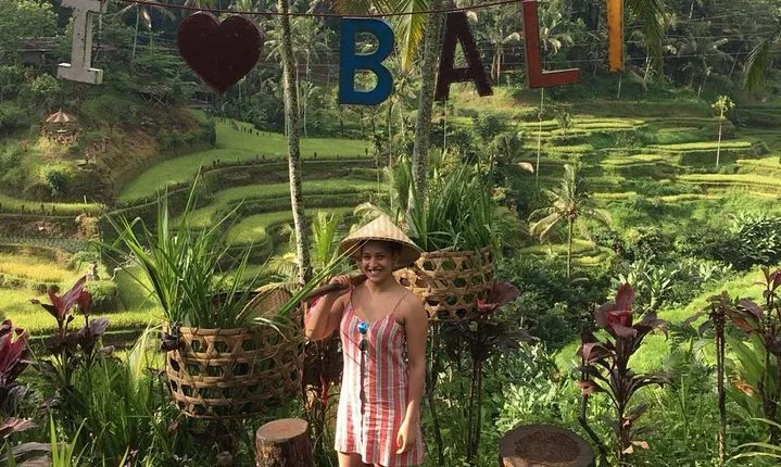 Point View of Kintamani Vulcano and Ubud Tour