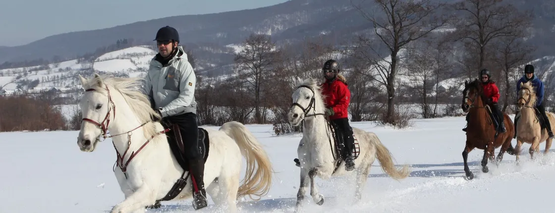 Horse Riding Experience near Bansko with Transfer