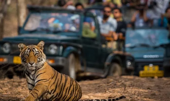 Golden Triangle Tour with Ranthambore (5 Star Hotel)
