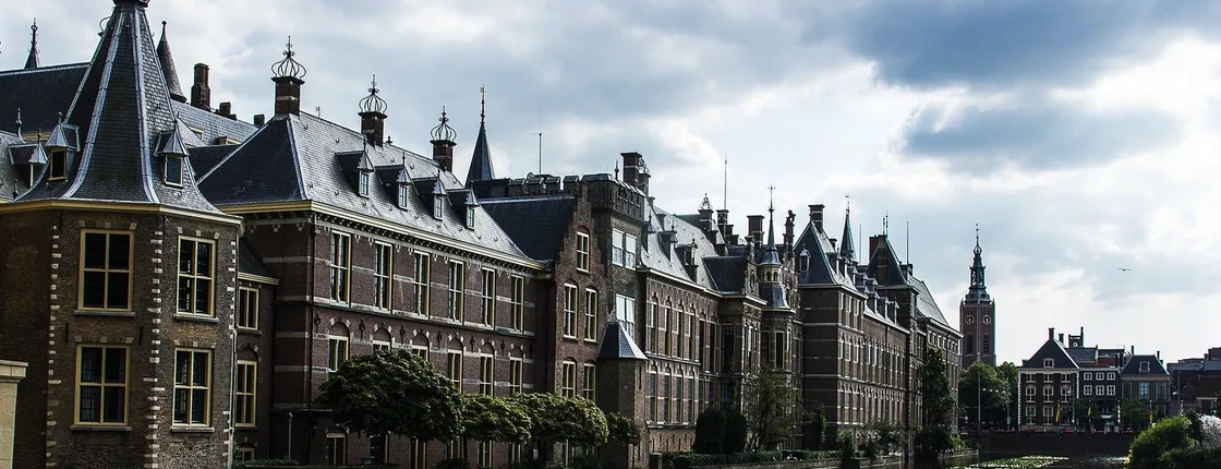 Sightseeing tour of The Hague and Delft with private transportation