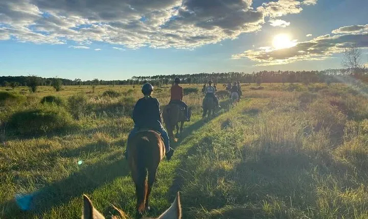 Horseback Ride on Scenic Lake Louisa Trails