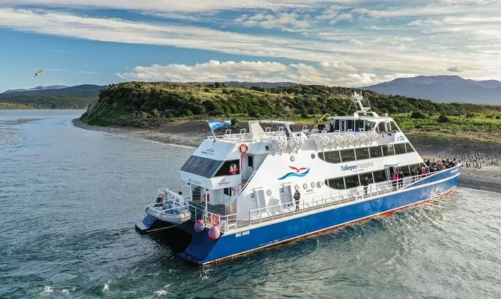 Navigate through the Beagle Channel: Seal, Bird & Penguin Islands