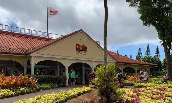 Oahu Tour - Pearl Harbor, Dole Pineapple & Oahu Tour