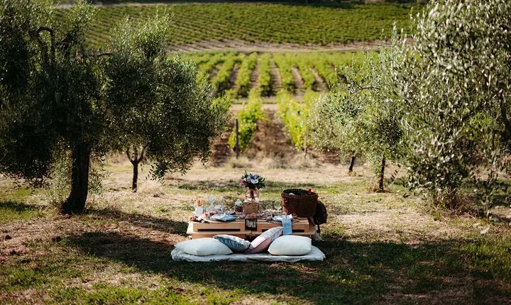 Luxury Picnic Experience in Tuscany
